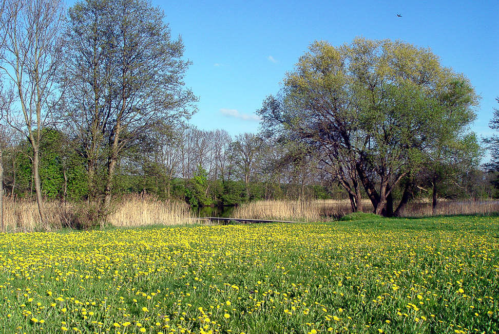 Landschaft