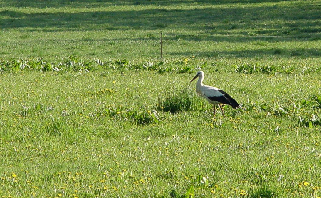 Landschaft