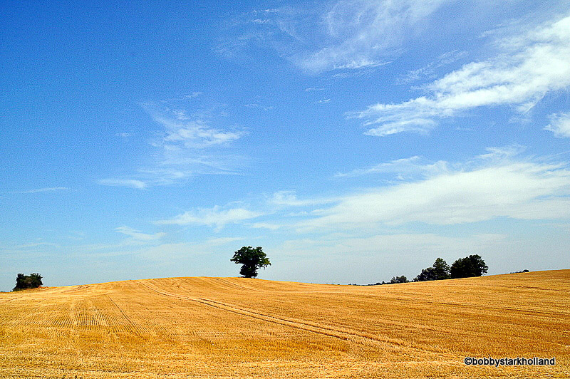 Landschaft