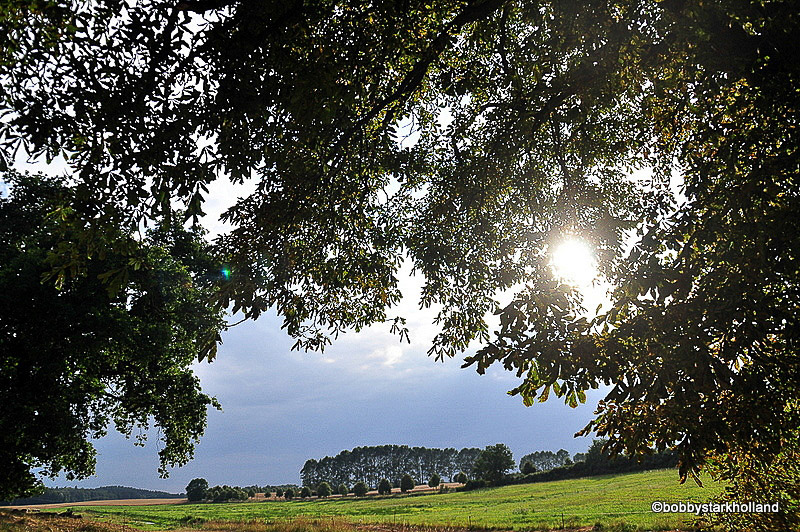 Landschaft