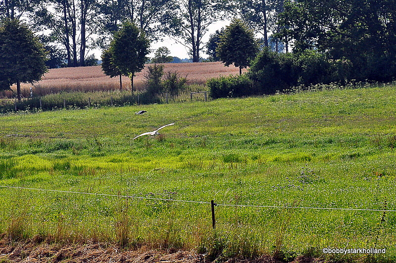 Landschaft